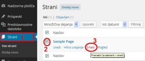 Postopek brisanja strani.