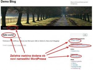 Na je začetku vaša spletna stran videti nekako takole.